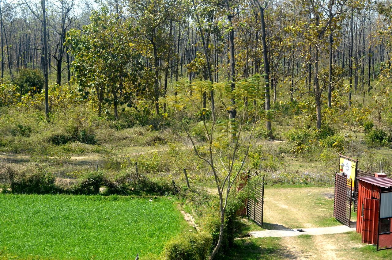 Corbett Treat Resort Рамнаґар Екстер'єр фото